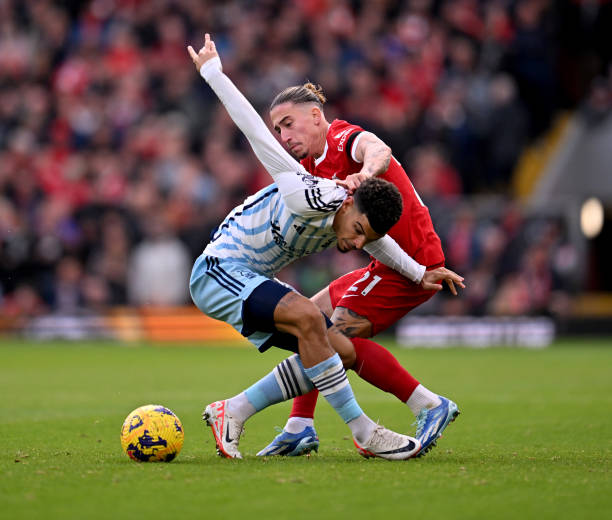 总的来说 总的来说