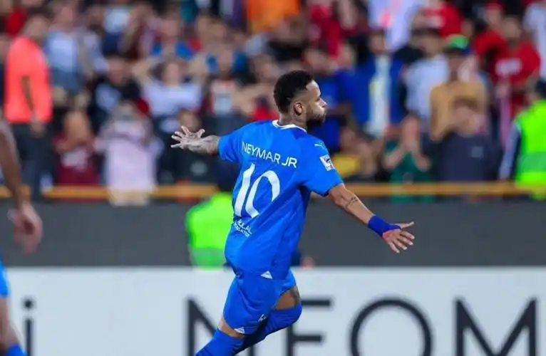 除了丰富的 除了丰富的