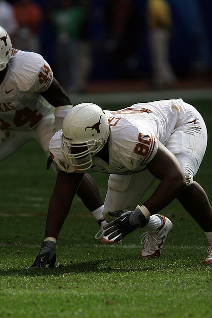 供了一道赏 供了一道赏